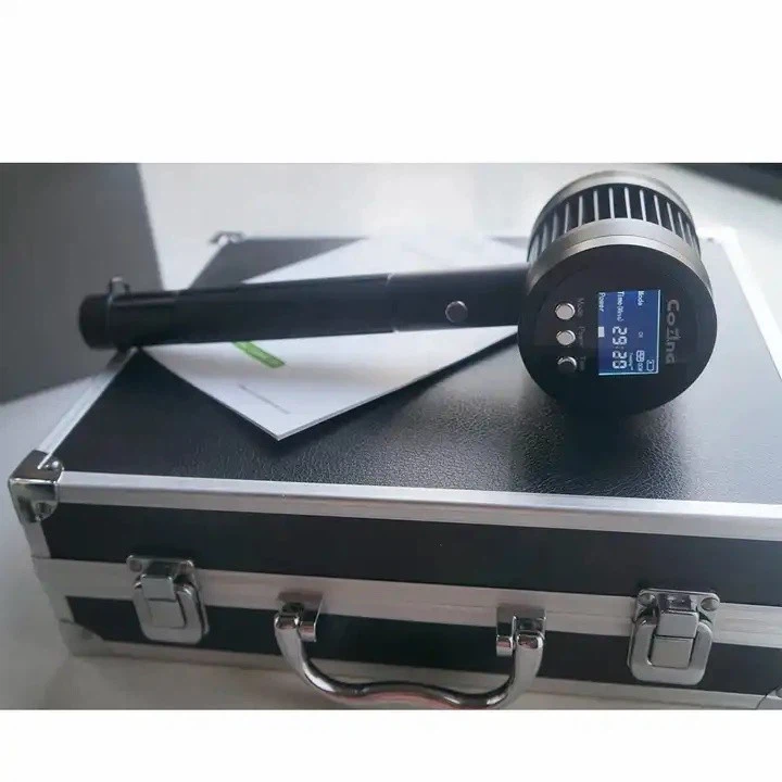 equine laser therapy~1